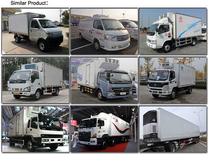 Do<em></em>ngfeng Tianjin 12 ton Freezer Refrigerated Truck