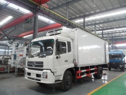 Dongfeng 10 ton refrigerated truck
