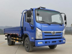 Shiyan 4X2 3 Ton Lorry Light Truck