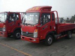 Sinotruk 4x2 small truck 3T Light Cargo Truck