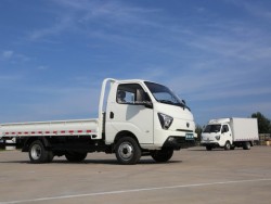 Mini Waw Gasoline Cargo 2WD New Truck for Sale From China
