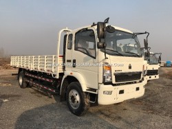 Hot-Sale HOWO 4X2 22FT 160PS Cargo Truck