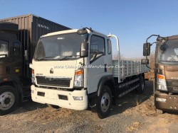 Hot-Sale HOWO 4X2 160PS 21FT Euro-3 Cargo Truck