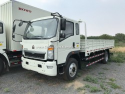 Hot-Sale HOWO 4X2 140PS 19FT Euro-3 Cargo Truck