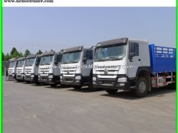 Sinotruk 8X4 Cargo Truck HOWO 40t Heavy Duty Cargo Lorry Truck
