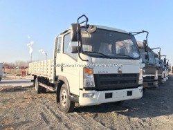 Hot-Sale HOWO 4X2 120PS 17FT Euro-2 Cargo Truck