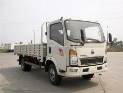 HOWO 4X2 EU-3 102PS 14FT Cargo Truck