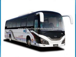 49 Seats Diesel City Coach Bus Shuttle Bus Customize with Toilet