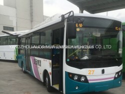 Eonomic Electric Vehicle City Bus for Transportation