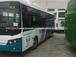 China Golden Supplier Electric City Bus Coach