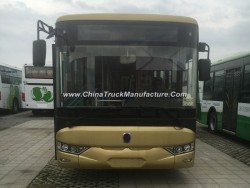 12 Meters New Energy Electric Power City Bus