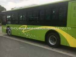 10m Pure Electric Bus with High Quality and Beautiful Body