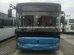 Popular Model Electric Bus for Public Use