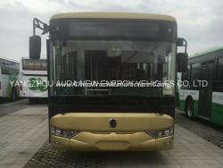 Customized Electric 12 Meters Bus for Transportation
