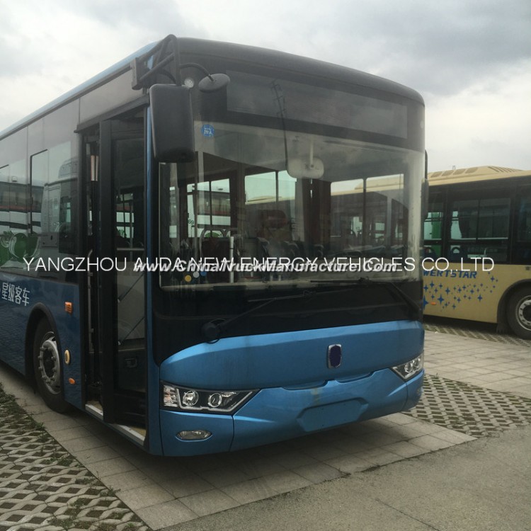 Economic Choice Cheap Electric 12m Bus with High Quality