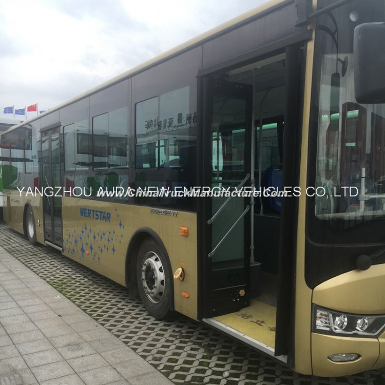Manufacturer Electric Luxury Tourist Bus with High Quality