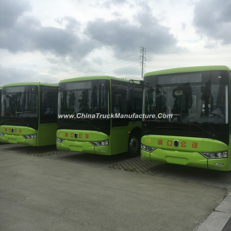 Classic Electric 10 Meters Bus Tourist Bus with Battery System