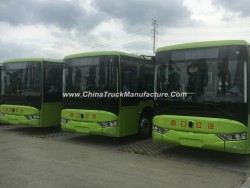 Classic Electric 10 Meters Bus Tourist Bus with Battery System