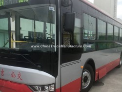 Brand New Electric Luxury 10 Meters Bus
