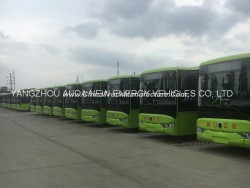New Arrival High Performance Electric Bus with Lithium Battery