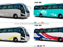 Customized Color Long Venture Coach Bus Tourist Bus