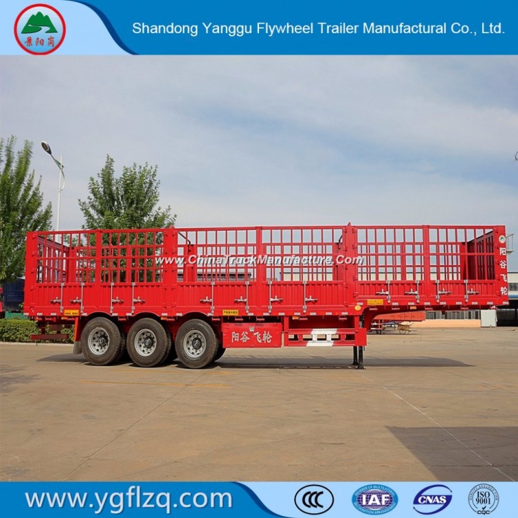 Made in Shandong Cattle and Sleep Transport Semi Trailer with Plie and Fence