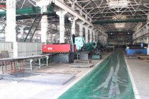 Shandong Steer Machinery Co., Ltd.
