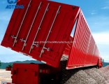 China Manufacture Heavy Duty Side Container Trailer/Dump Semi Trailer