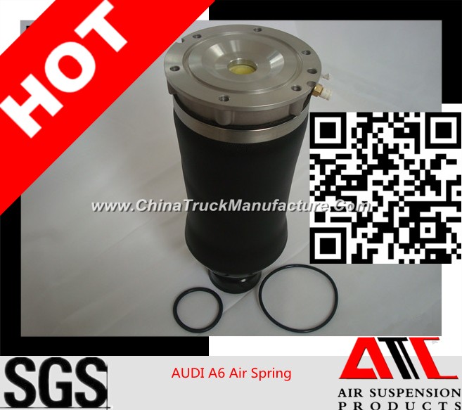 Factory Directly Offer Air Spring Suspension for Audi A6 Front