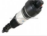 Good Performance Front Air Spring Suspension for Benz W211