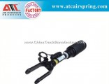 Auto Part Front with Ads Air Suspension Spring for Benz W164 1643205813 1643204613 1643204313