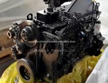 Cummins 6CTA8.3-C145 8.3L 145HP Diesel Engine Project Construction Machine