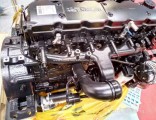 Cummins Engine Assembly Isde245 for Dcec Engine