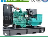 100kw 125kVA Cummins Diesel Engine Hongfu Brand Alternator with Digital Panel