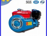 Horizontal Air Cooled 4-Stroke Diesel Engine Z170f for Machinery