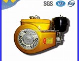 Horizontal Air Cooled 4-Stroke Diesel Engine Z175f for Machinery