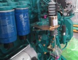 Water Cooled Deutz Diesel Engine (WP13D442E201)
