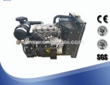 Water Cooled Diesel Engine Beinei BN4D22