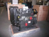 Weifang Ricardo Diesel Engine 495D 26.5kw Water Cooled for Thailand Market
