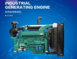 Wd615 Series of Diesel Engine for Diesel Engine