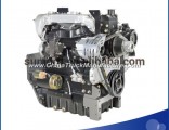 New 10HP Small Diesel Engine with Electric Start 1006c P6trt115