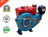 Small Four Stroke Diesel Engine with User Friendly Design (z170f)