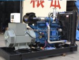 350kVA/300kw Continue Power Generator Wd Diesel Engine with Electric Governor