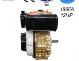 12HP Diesel Engine with CE Golden Right Side