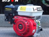 Bison (China) Best Price BS168f-1 196cc Air-Cooled Small Portable 168f-1 Ohv 6.5HP Gasoline Engine