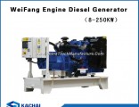 Weifang Ricardo N4102zds Diesel Engine