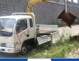 Hydraulic Boom Pickup Truck Mounted Crane for Sale in Qatar