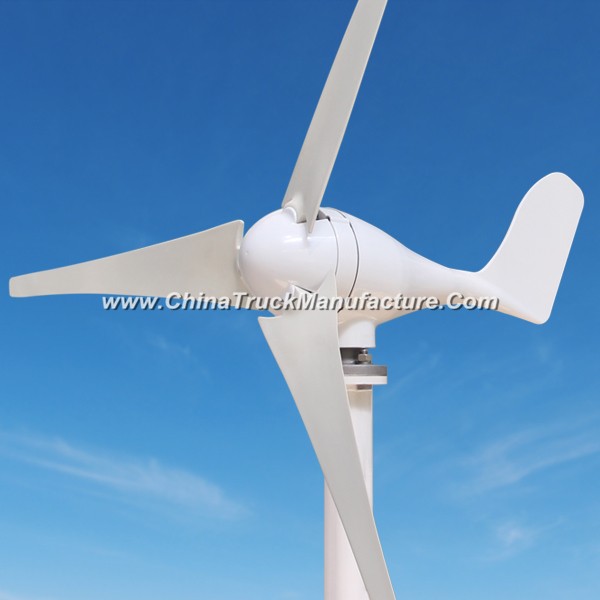 Easy Installation 300W 12V/24V Mini AC Wind Turbine Generator for Boat Use
