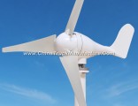 Easy Installation 300W 12V/24V Mini AC Wind Turbine Generator for Boat Use