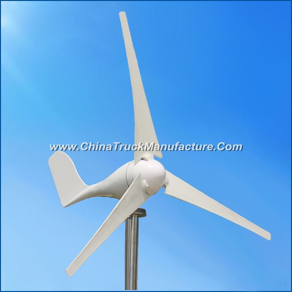 100W 12V/24V Mini Wind Power Generator for Boat